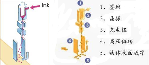 �cꇇ��a�C����ԭ��